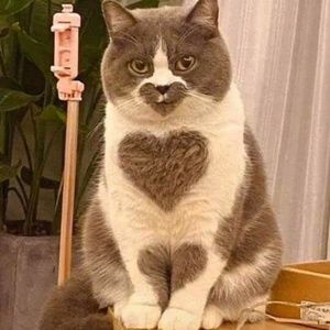 Meet your Posher, Shauna